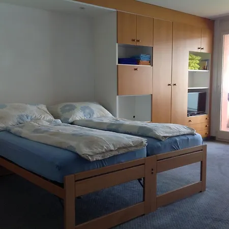 Viralago 407408 Apartment Gambarogno